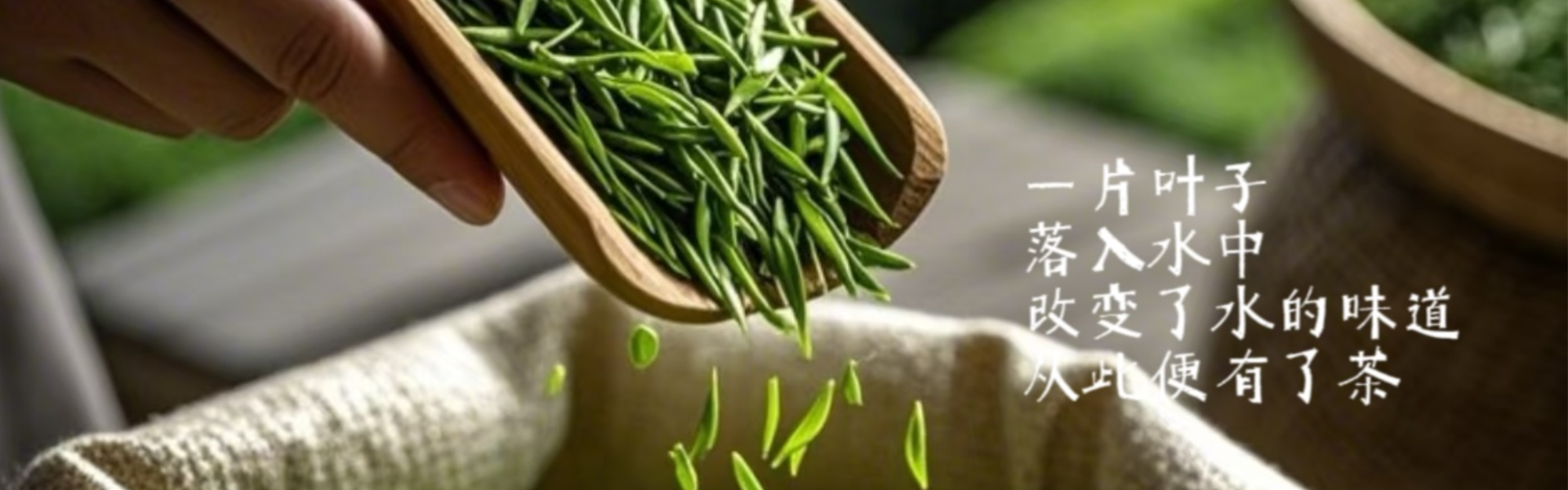 贵州省茶叶学会【官网】 贵州省茶叶学会【官网】