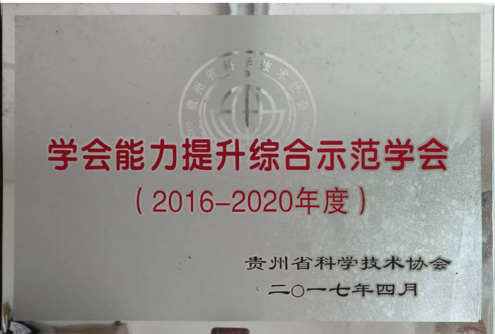 学会能力提升综合示范学会