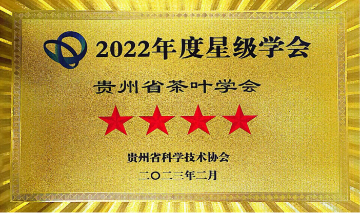 2022年度星级学会