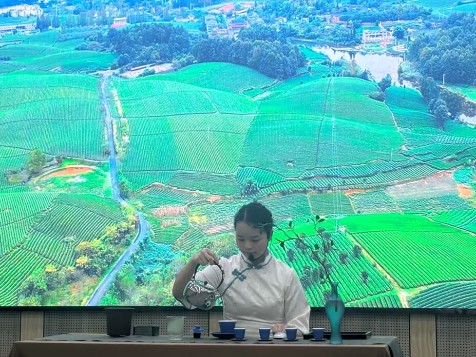 学会风采